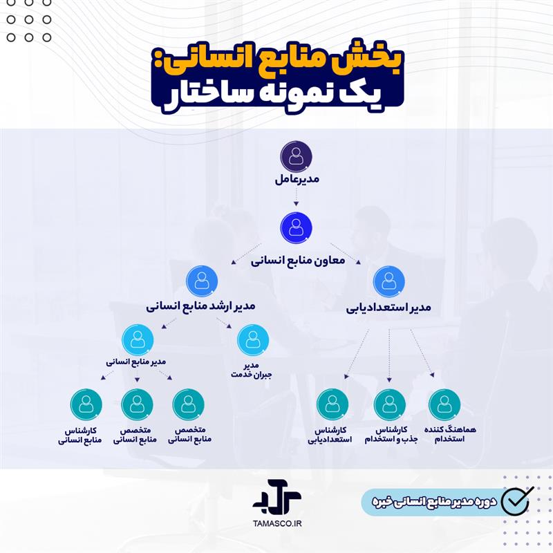 نمونه ساختار منابع انسانی