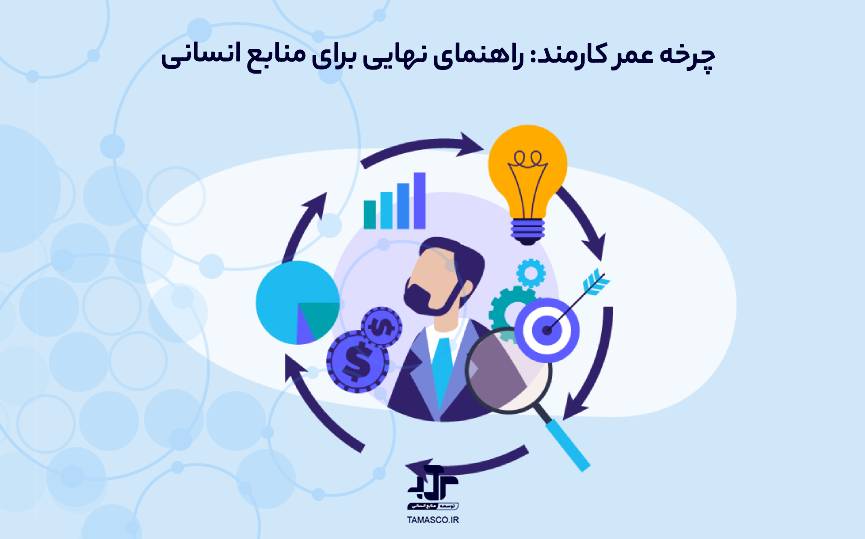 چرخه عمر کارکنان